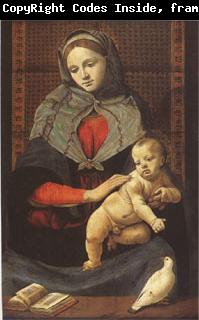 Piero di Cosimo The Virgin and Child with a Dove (mk05)